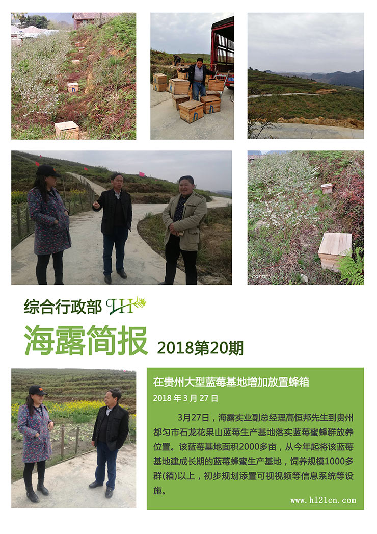 鉴黑担保网(jhdbw)·最具权威唯一维权担保平台