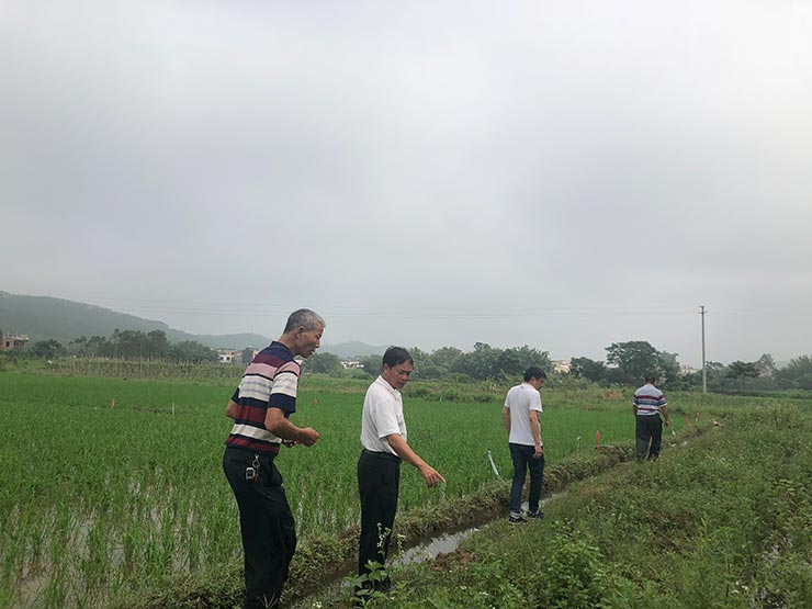 鉴黑担保网(jhdbw)·最具权威唯一维权担保平台