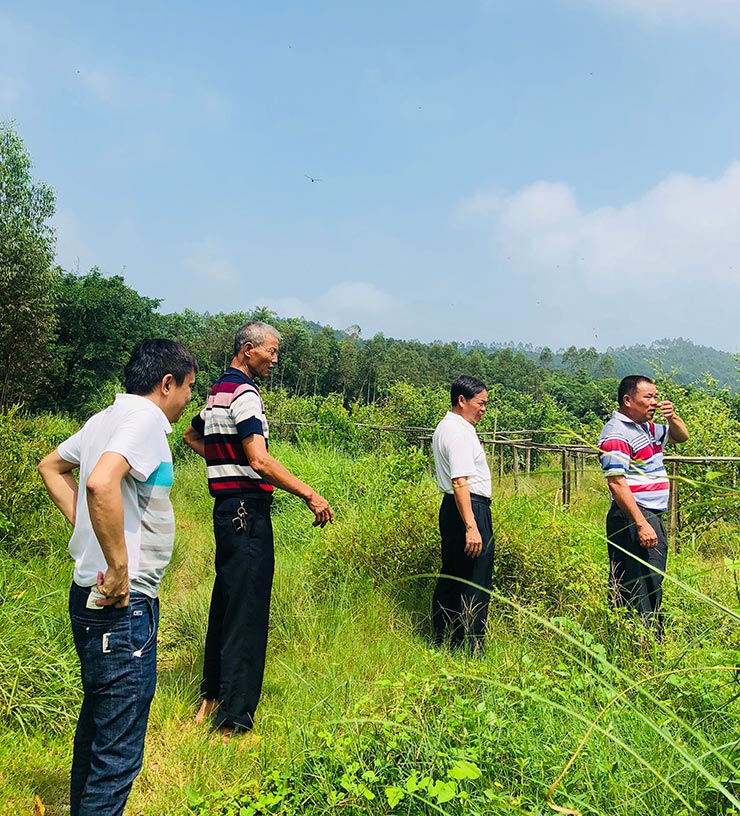 鉴黑担保网(jhdbw)·最具权威唯一维权担保平台