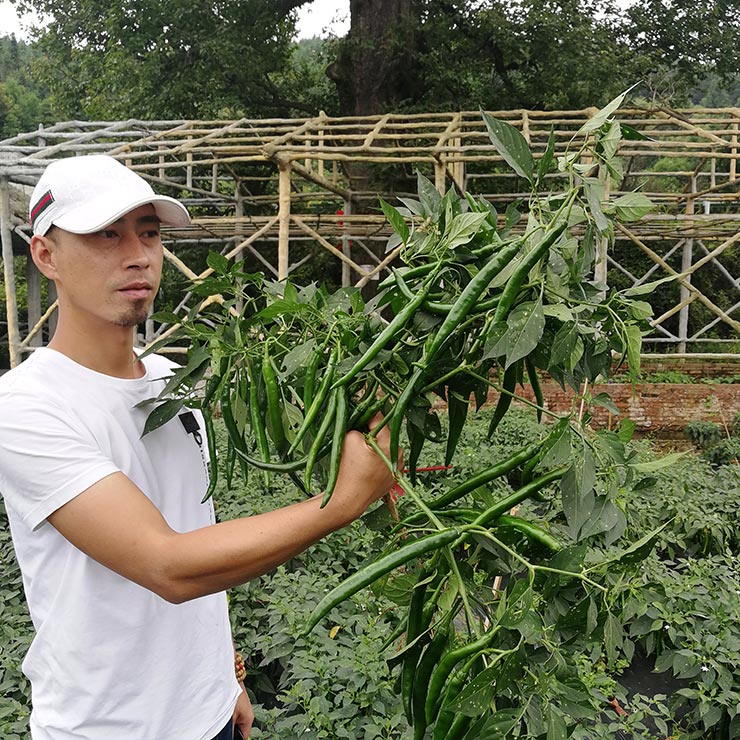 鉴黑担保网(jhdbw)·最具权威唯一维权担保平台