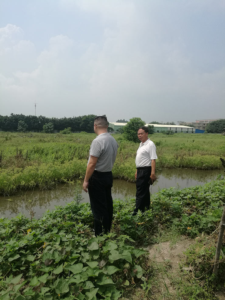 鉴黑担保网(jhdbw)·最具权威唯一维权担保平台