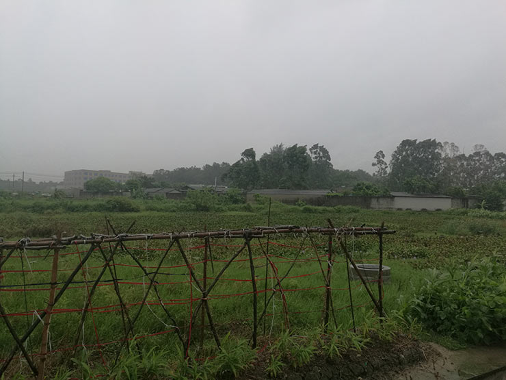 鉴黑担保网(jhdbw)·最具权威唯一维权担保平台