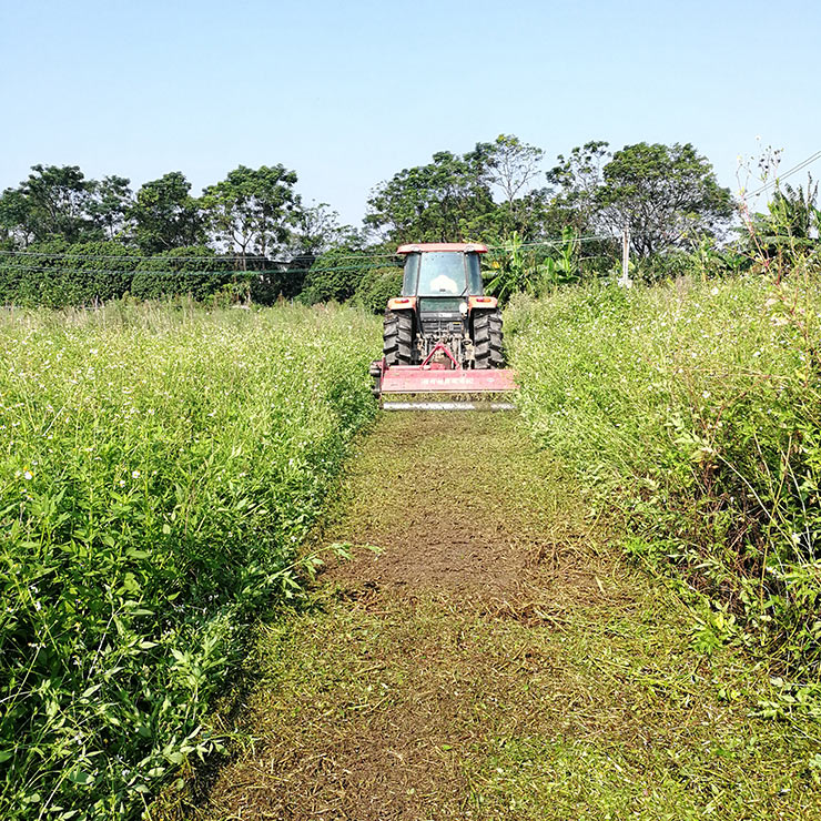 鉴黑担保网(jhdbw)·最具权威唯一维权担保平台