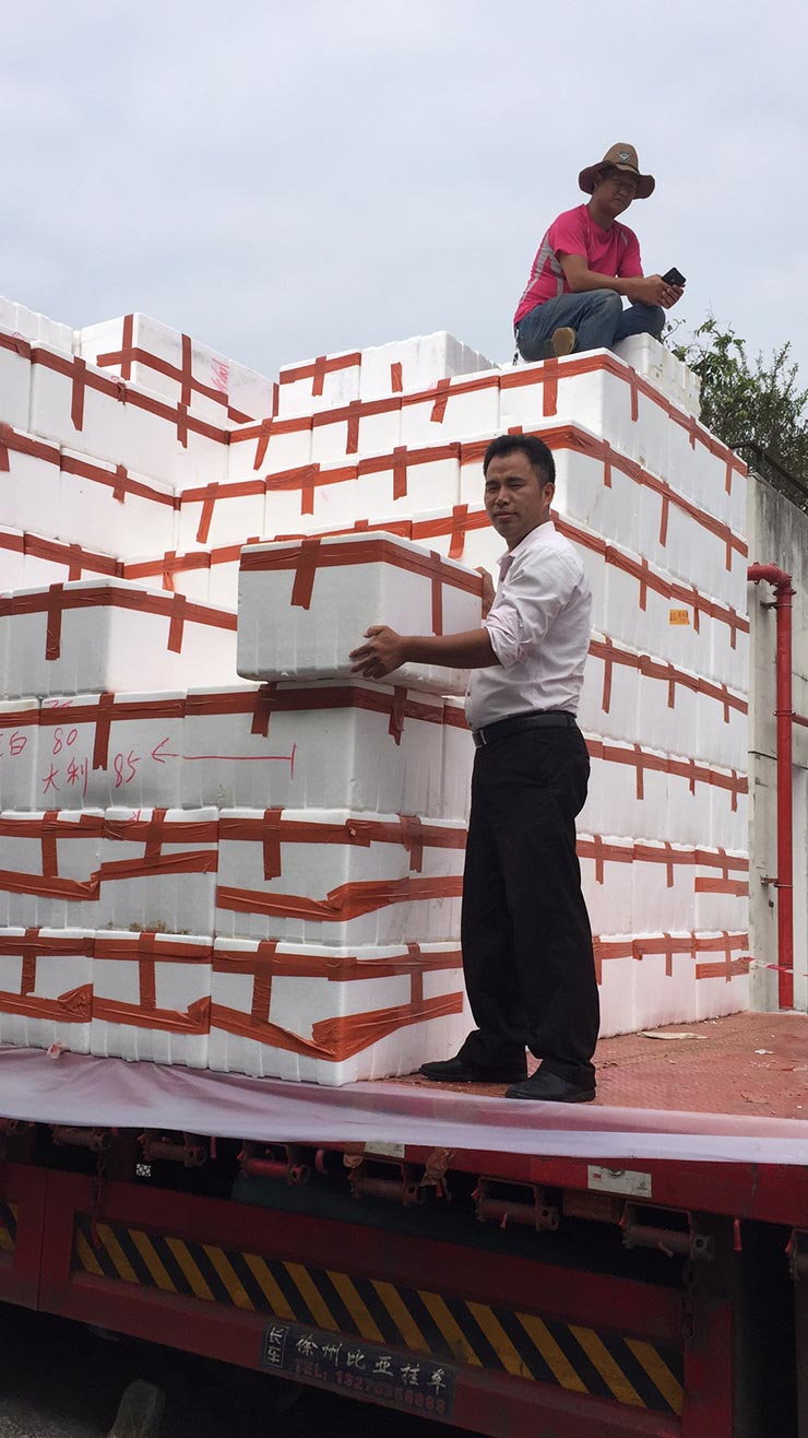 鉴黑担保网(jhdbw)·最具权威唯一维权担保平台