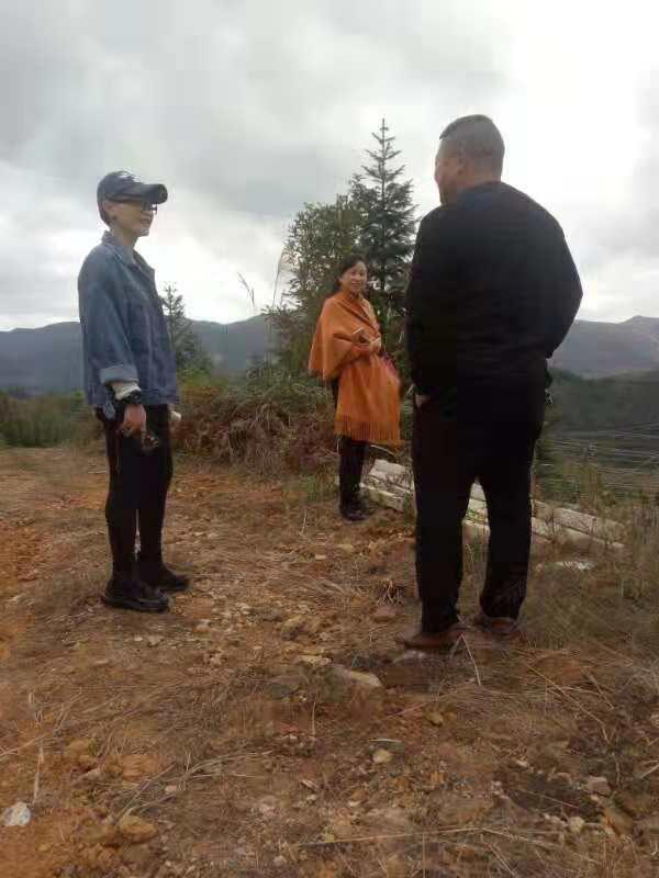 鉴黑担保网(jhdbw)·最具权威唯一维权担保平台