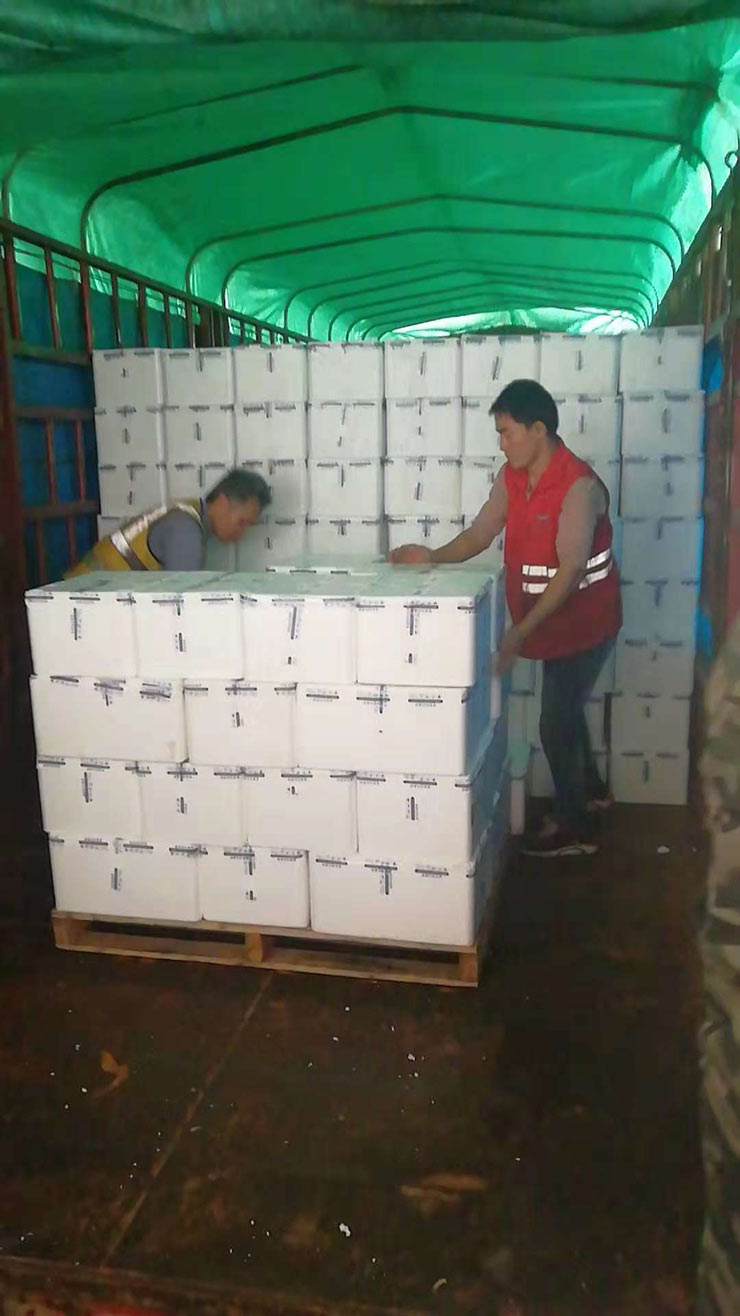 鉴黑担保网(jhdbw)·最具权威唯一维权担保平台