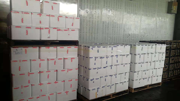 鉴黑担保网(jhdbw)·最具权威唯一维权担保平台