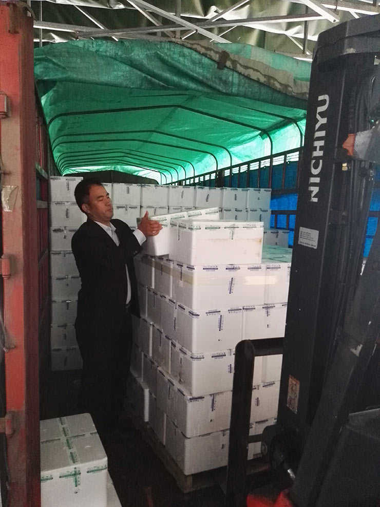 鉴黑担保网(jhdbw)·最具权威唯一维权担保平台