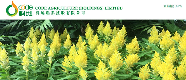 鉴黑担保网(jhdbw)·最具权威唯一维权担保平台