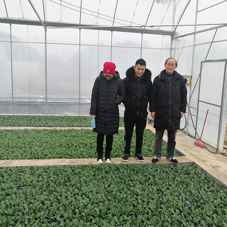 鉴黑担保网(jhdbw)·最具权威唯一维权担保平台