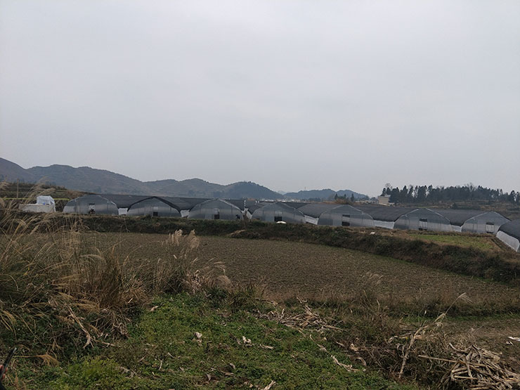 鉴黑担保网(jhdbw)·最具权威唯一维权担保平台