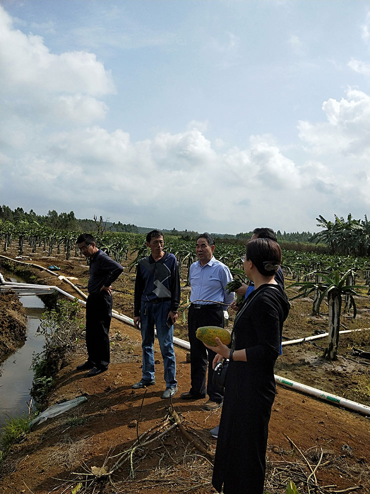 鉴黑担保网(jhdbw)·最具权威唯一维权担保平台