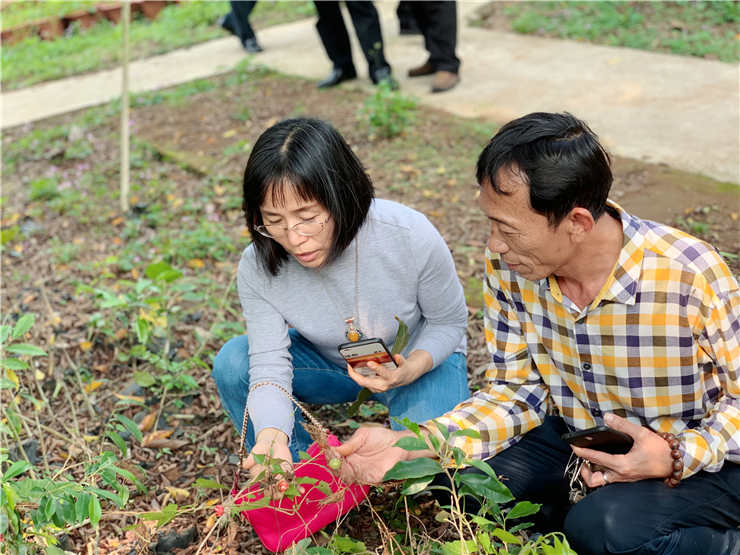 鉴黑担保网(jhdbw)·最具权威唯一维权担保平台