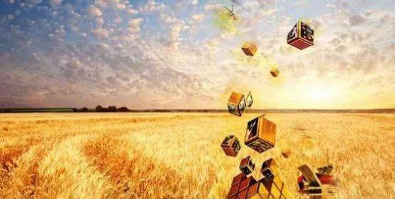 鉴黑担保网(jhdbw)·最具权威唯一维权担保平台