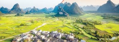 鉴黑担保网(jhdbw)·最具权威唯一维权担保平台