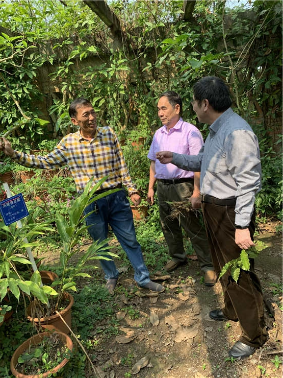 鉴黑担保网(jhdbw)·最具权威唯一维权担保平台