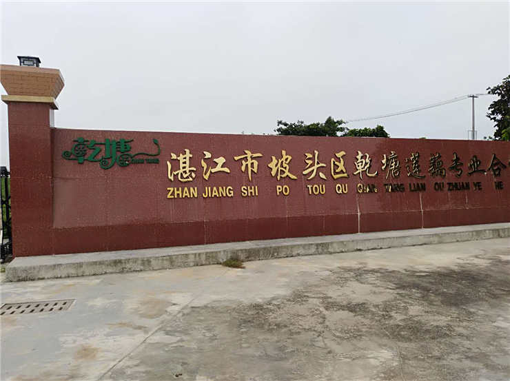 鉴黑担保网(jhdbw)·最具权威唯一维权担保平台