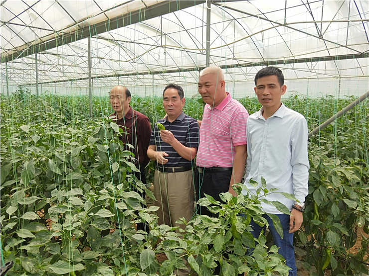 鉴黑担保网(jhdbw)·最具权威唯一维权担保平台