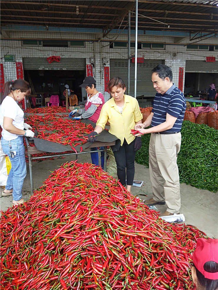 鉴黑担保网(jhdbw)·最具权威唯一维权担保平台