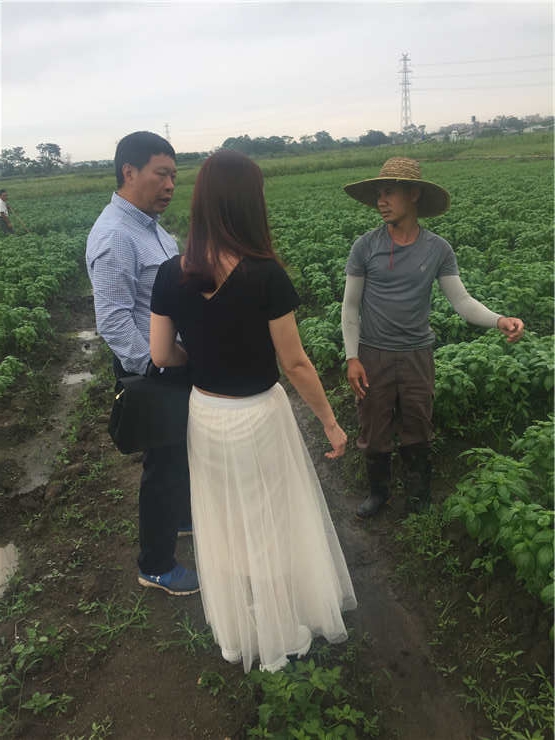 鉴黑担保网(jhdbw)·最具权威唯一维权担保平台