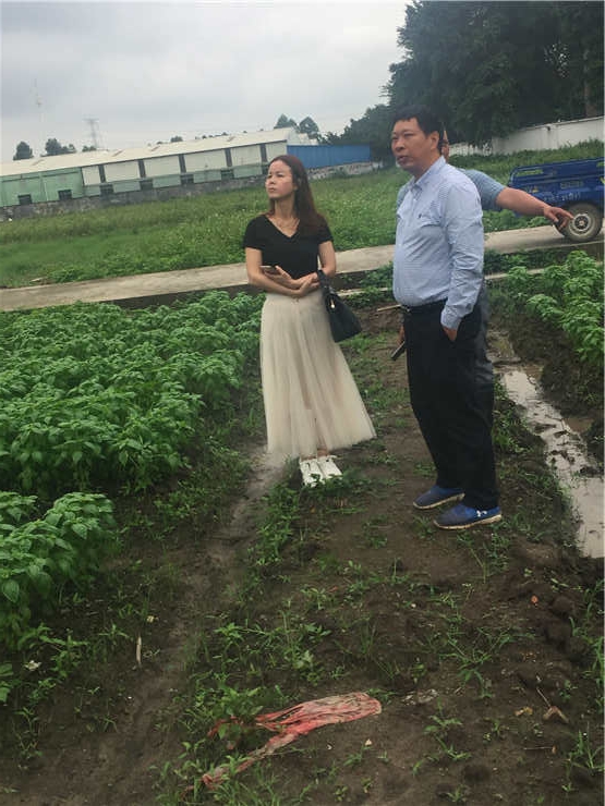 鉴黑担保网(jhdbw)·最具权威唯一维权担保平台