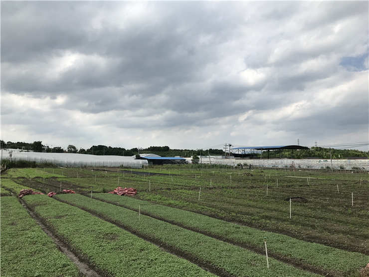 鉴黑担保网(jhdbw)·最具权威唯一维权担保平台