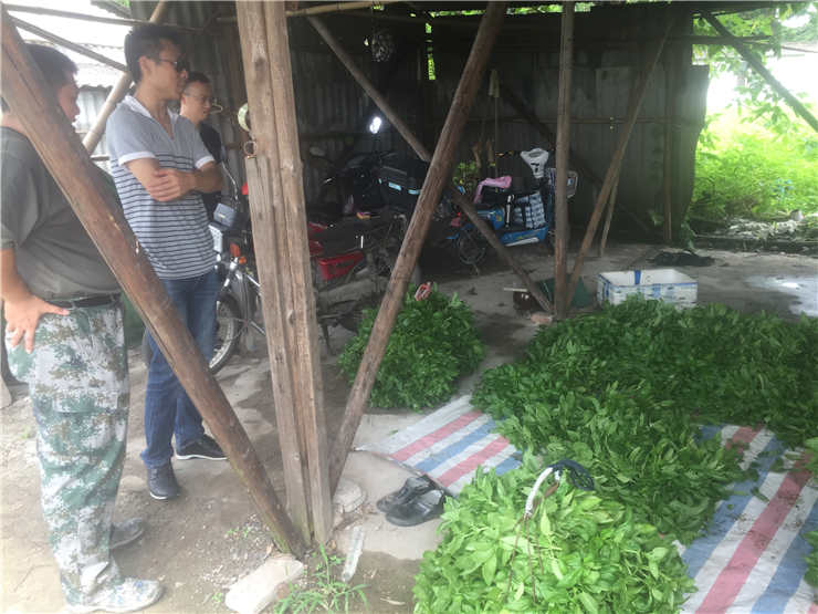 鉴黑担保网(jhdbw)·最具权威唯一维权担保平台