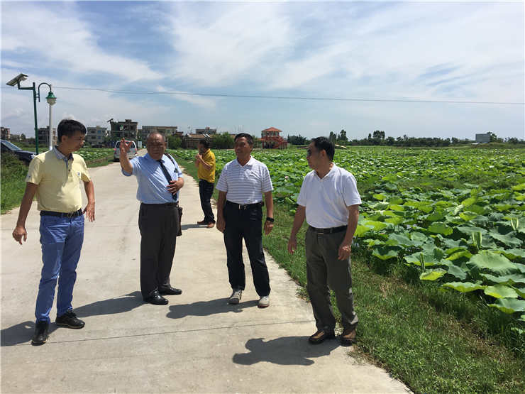 鉴黑担保网(jhdbw)·最具权威唯一维权担保平台