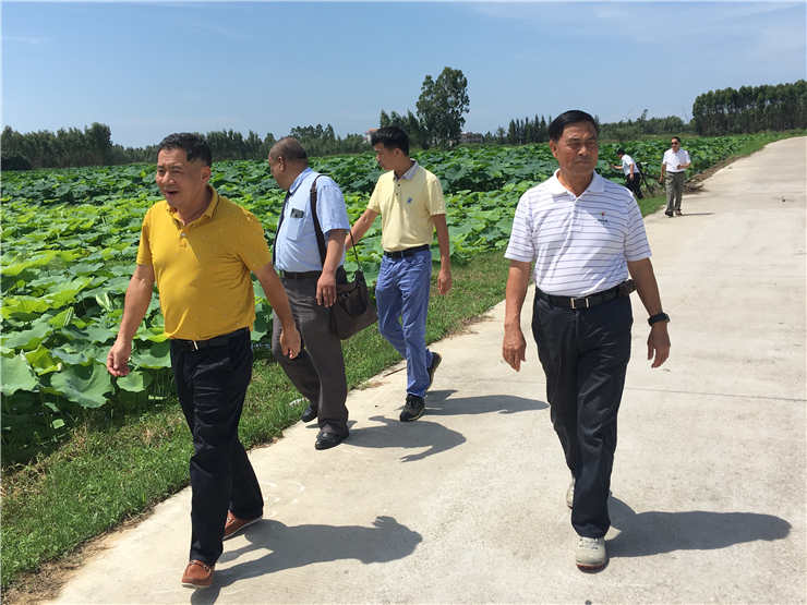 鉴黑担保网(jhdbw)·最具权威唯一维权担保平台