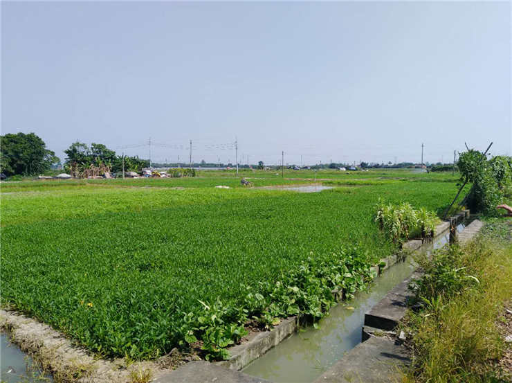 鉴黑担保网(jhdbw)·最具权威唯一维权担保平台