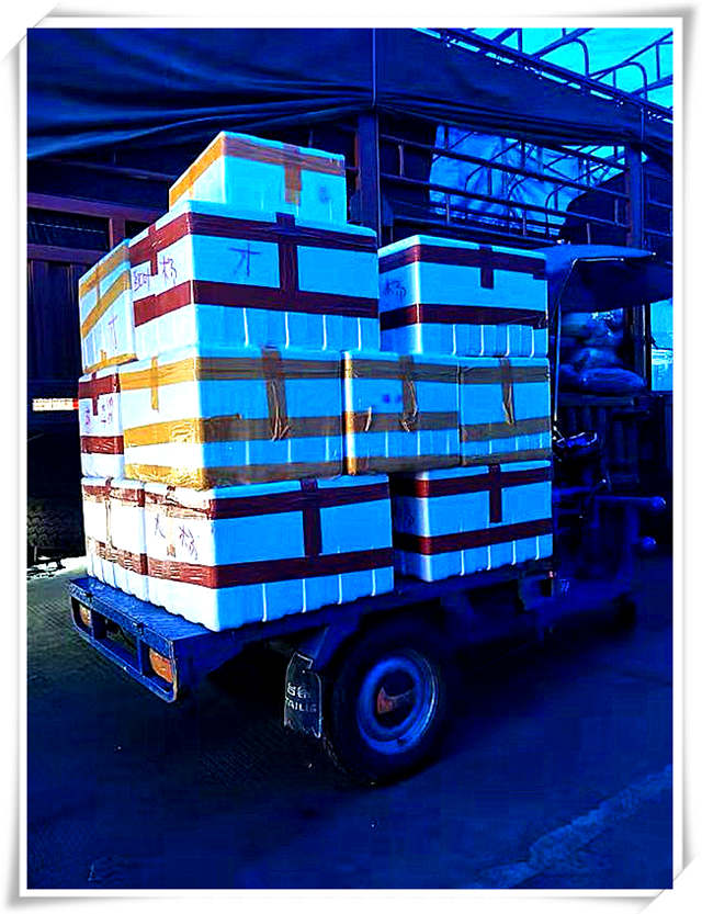 鉴黑担保网(jhdbw)·最具权威唯一维权担保平台