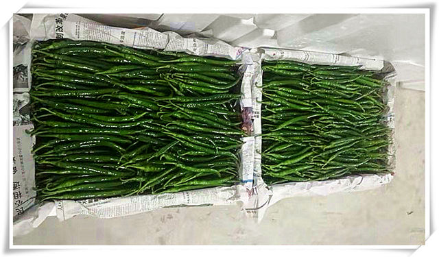 鉴黑担保网(jhdbw)·最具权威唯一维权担保平台