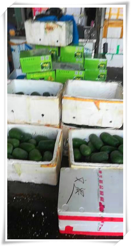 鉴黑担保网(jhdbw)·最具权威唯一维权担保平台