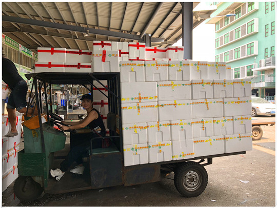 鉴黑担保网(jhdbw)·最具权威唯一维权担保平台