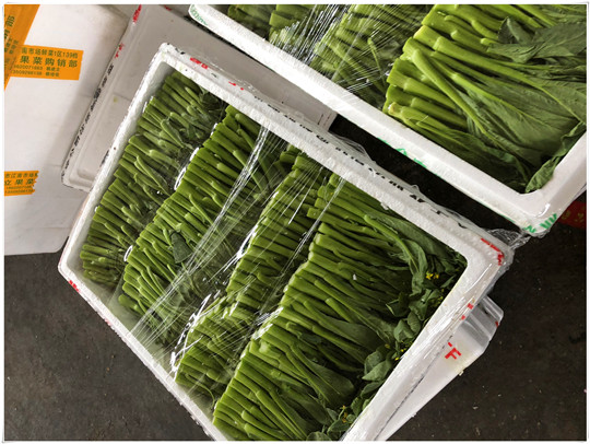 鉴黑担保网(jhdbw)·最具权威唯一维权担保平台