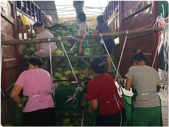 鉴黑担保网(jhdbw)·最具权威唯一维权担保平台