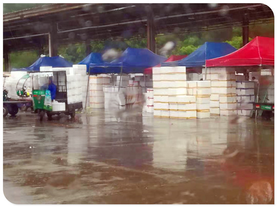 鉴黑担保网(jhdbw)·最具权威唯一维权担保平台