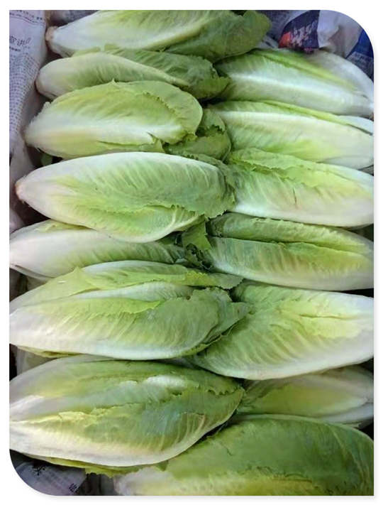 鉴黑担保网(jhdbw)·最具权威唯一维权担保平台