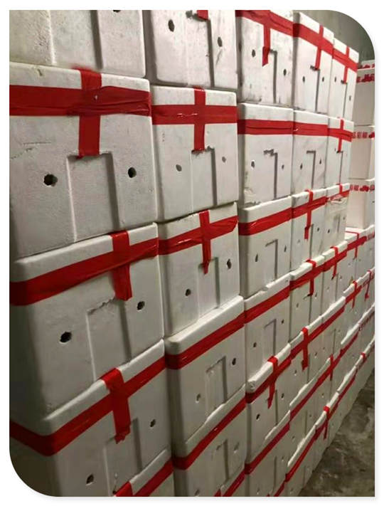 鉴黑担保网(jhdbw)·最具权威唯一维权担保平台