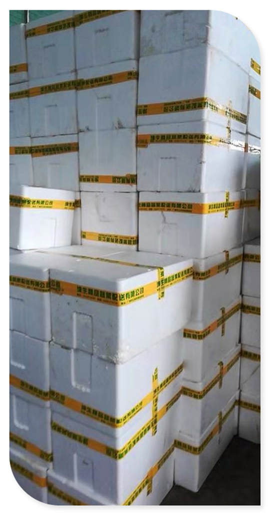 鉴黑担保网(jhdbw)·最具权威唯一维权担保平台