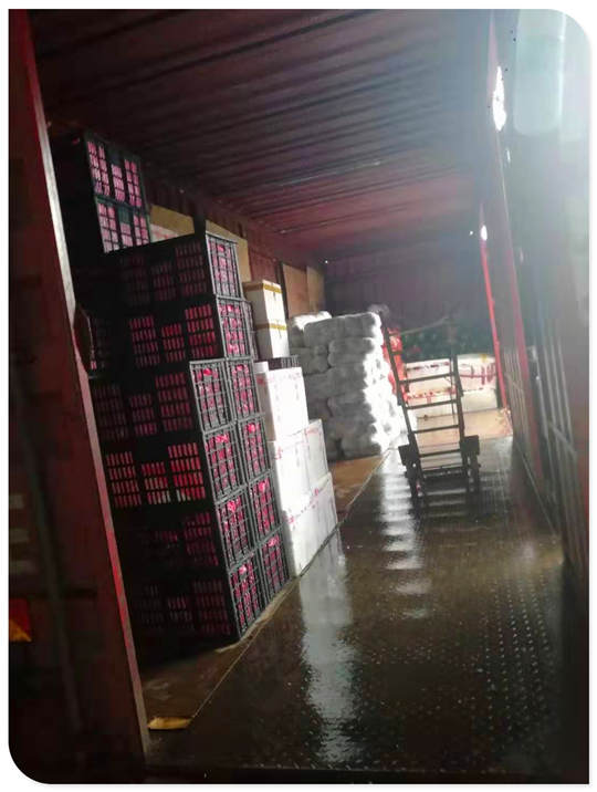 鉴黑担保网(jhdbw)·最具权威唯一维权担保平台