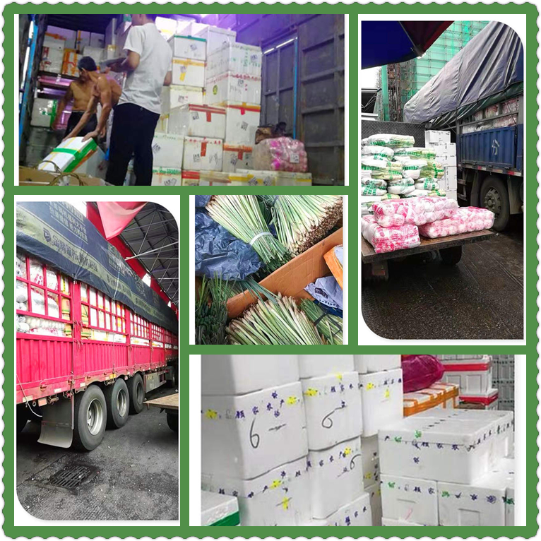 鉴黑担保网(jhdbw)·最具权威唯一维权担保平台