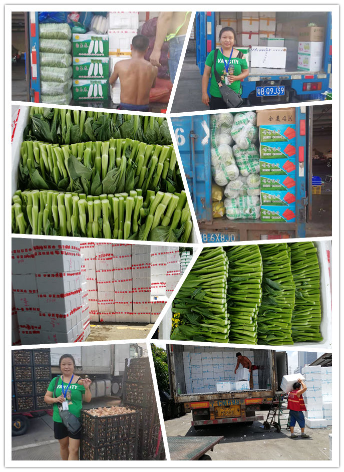 鉴黑担保网(jhdbw)·最具权威唯一维权担保平台