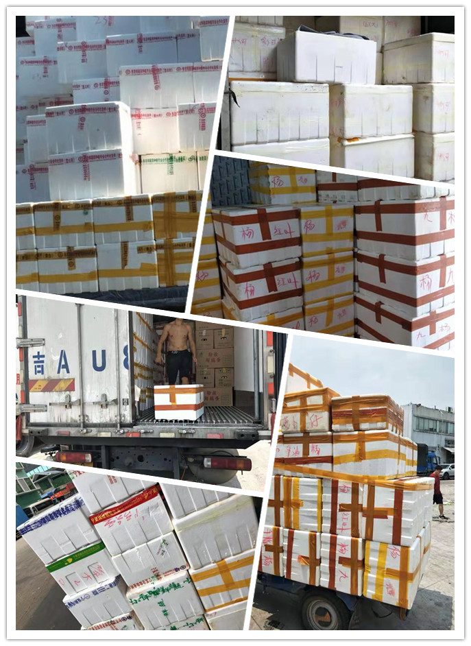 鉴黑担保网(jhdbw)·最具权威唯一维权担保平台