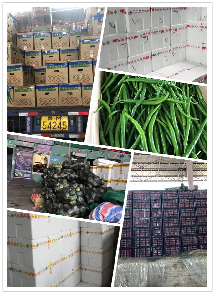 鉴黑担保网(jhdbw)·最具权威唯一维权担保平台