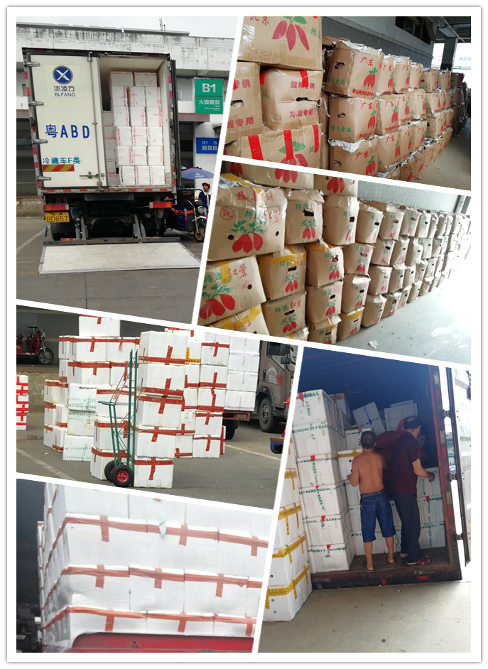 鉴黑担保网(jhdbw)·最具权威唯一维权担保平台