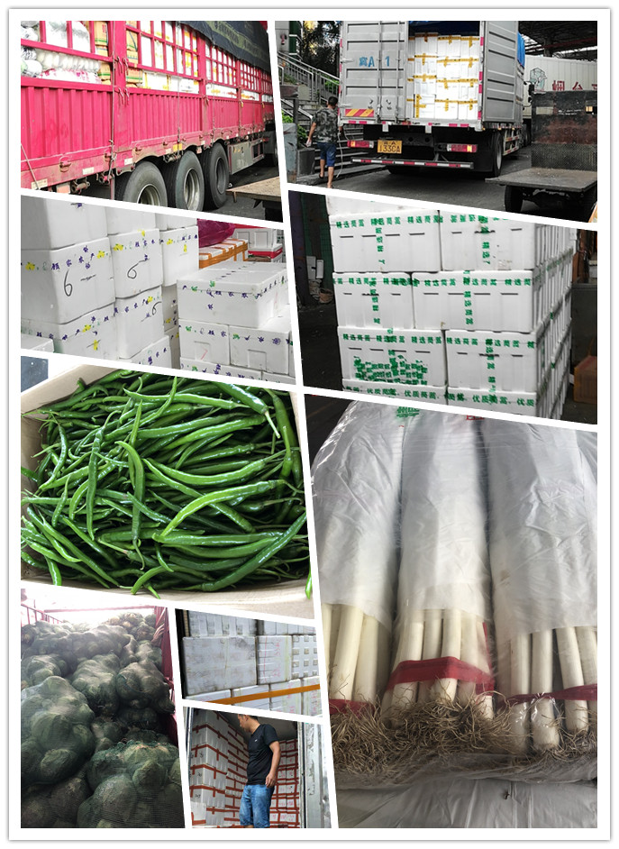 鉴黑担保网(jhdbw)·最具权威唯一维权担保平台