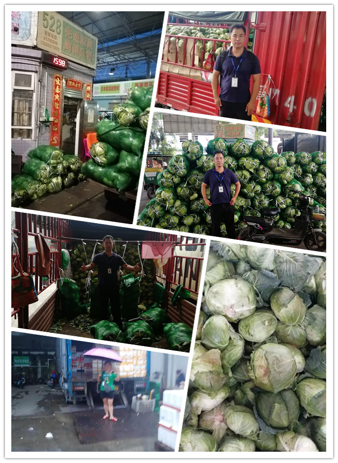 鉴黑担保网(jhdbw)·最具权威唯一维权担保平台