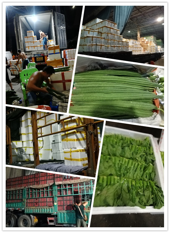 鉴黑担保网(jhdbw)·最具权威唯一维权担保平台