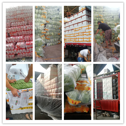 鉴黑担保网(jhdbw)·最具权威唯一维权担保平台